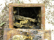 Tit nestbox with old honeycomb from 2015, before cleaning 2017-03-08 (0851)