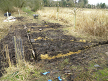 Buried land drainage pipes and bund, western edge of meadow, Hillside House, 2017-03-10 (0857)