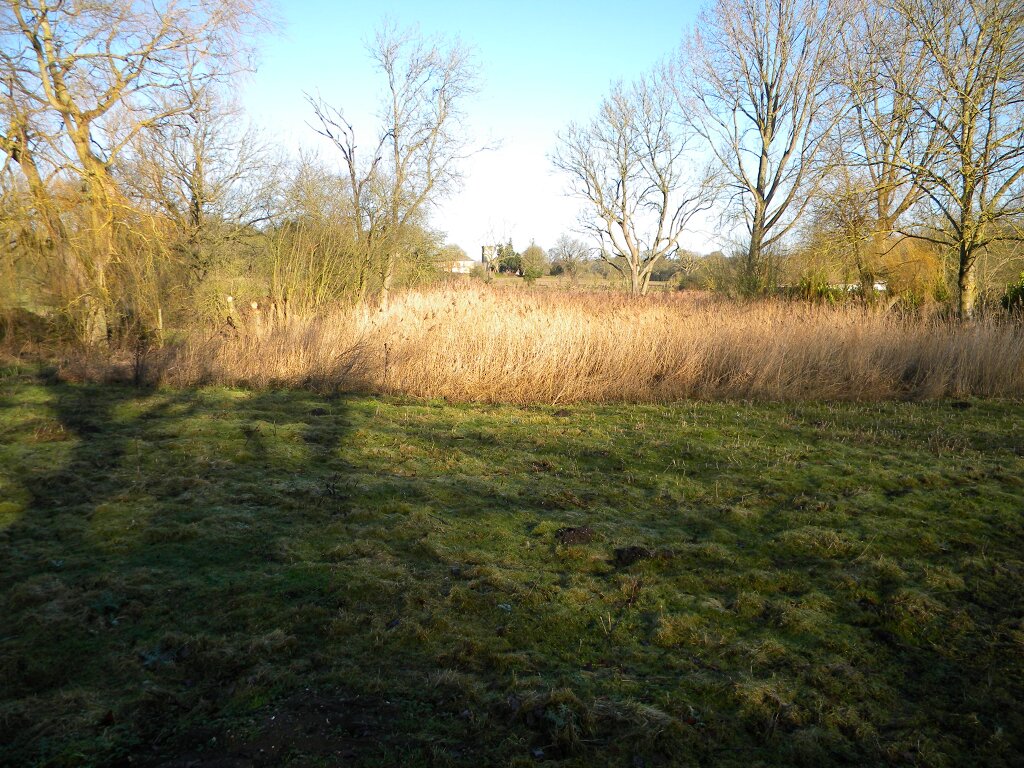 Main pond at Hillside House, 2020-01-18 (1455)