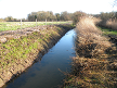 Carr Stream after autumn dredging, Hillside House, 2020-01-18 (1465)