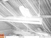 Barn owl on suspended strip light inside shed, Hillside House 2020-03-12 (0132067)