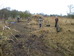 Norfolk Conservation Corps clearing reed cuttings, edge of meadow 2017-01-08 (0811)