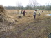 Norfolk Conservation Corps raking reed cuttings 2017-01-08 (0815)
