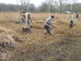 Norfolk Conservation Corps raking up reed cuttings, western part of meadow 2017-01-08 (0818)