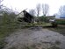 Sycamore pulled down using winch, Hillside House 2018-01-20 (1189)