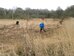 Norfolk Conservation Corps volunteers on meadow (MSE) 2020-02-16 (1478)