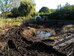 Main pond renovation Hillside House 2023-10-15 (3230)