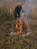 Norfolk Conservation Corps chairman tending brash fire, Hillside House 2019-01-13 (0935) (c) Nigel Smith