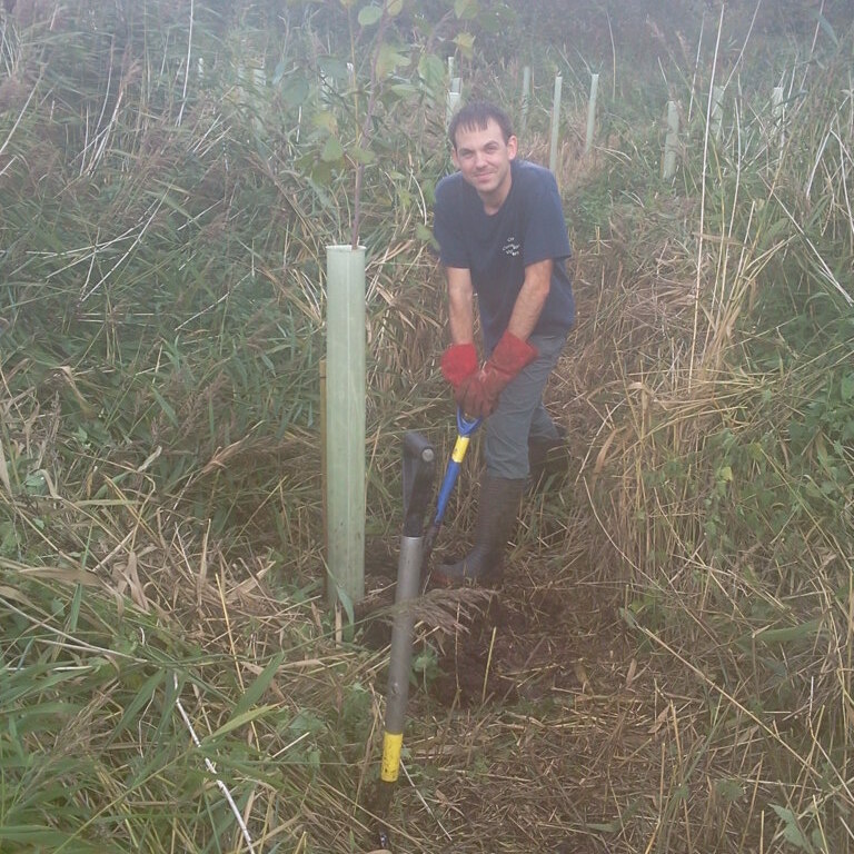 Tim (from OCV) removing alder for transplanting, Hillside House 2014-10-18 (0708)