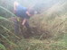 Alison (from OCV) transplanting, Hillside House 2014-10-18 (0710)